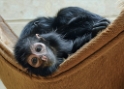 112 Tiere Zoo WTL_DDB1043-1 Kopie-1